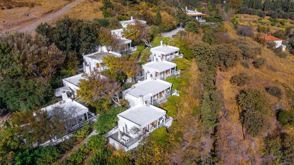 Irene'S Villas Andros Town Exterior photo