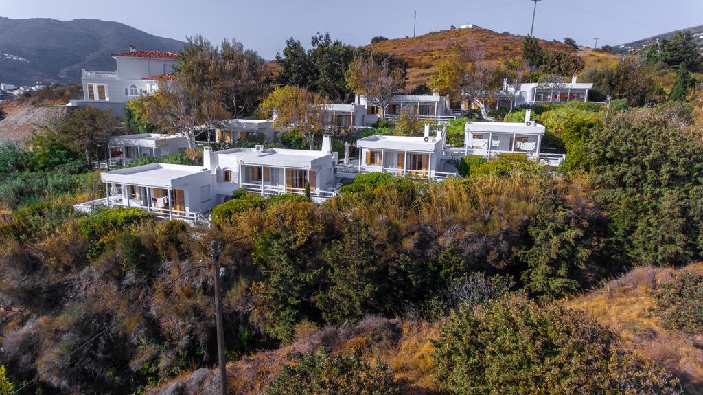 Irene'S Villas Andros Town Exterior photo