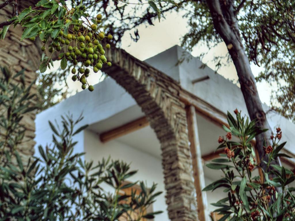 Irene'S Villas Andros Town Exterior photo